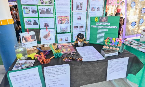 Porto Real: Escolas e Creches têm exposição na Semana Nacional da Ed. Infantil